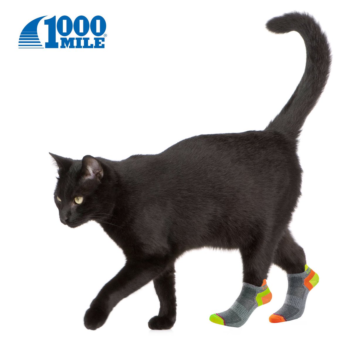 1000MileSocks's tweet photo. It's Friday the 13th! Are you wearing your lucky socks?
.
.
.

#Friday13th #FreakyFriday #luckysocks #1000Mile https://t.co/2Odwz5ESAt