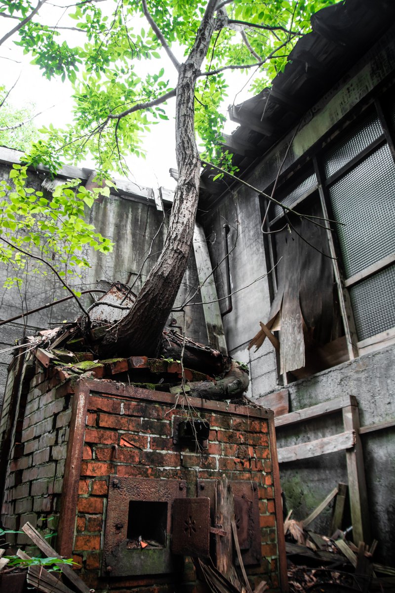 Mimizuku 廃墟街歩き 廃病院の旧伝染 精神病棟 一部が木造で老朽化しており屋根が抜け落ちていた この病院全体が閉院する前からこの病棟は閉鎖されたようだ だいぶ暗く 割と最近の張り紙が貼られていて気味が悪い でも廊下のブロックガラスや