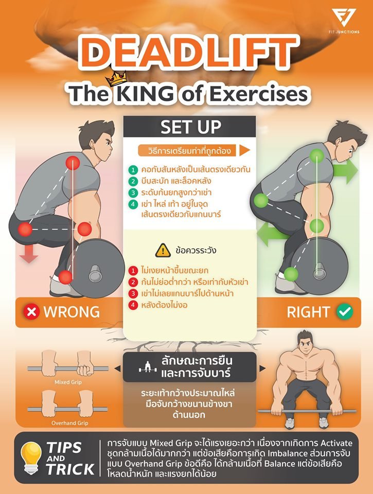 fitjunctions's tweet image. 💪🏼#Deadlift สุดยอดท่าออกกำลังกายที่ควรเล่น &quot;ให้ถูกวิธี!&quot; 

ท่า Deadlift เป็นท่าออกกำลังกายพื้นฐานที่ใช้กล้ามเนื้อแทบทั้งตัว ทำให้เพิ่มมวลกล้ามเนื้อ และพละกำลังได้อย่างรวดเร็ว

🙁 แต่ปัญหาคือ Deadlift เป็นท่าที่มือใหม่ บาดเจ็บกันบ่อยมากเลยครับ #FitJunctions
