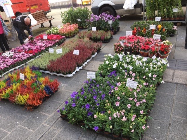 BangorWalesNews's tweet photo. Great day for Bangor Market - so may bargains on Bangor High Street
#SupportYourLocalMarket #SupportBangor https://t.co/dr8DRjWOUb