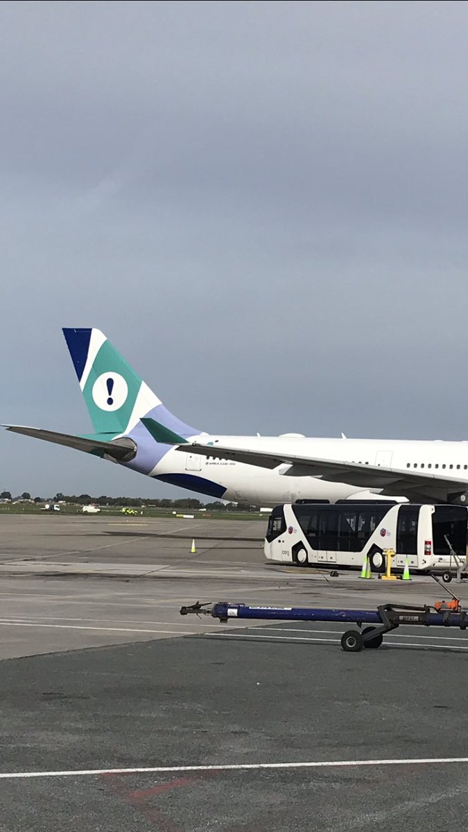 If you start an airline, really think about your logo before you put it on a plane....