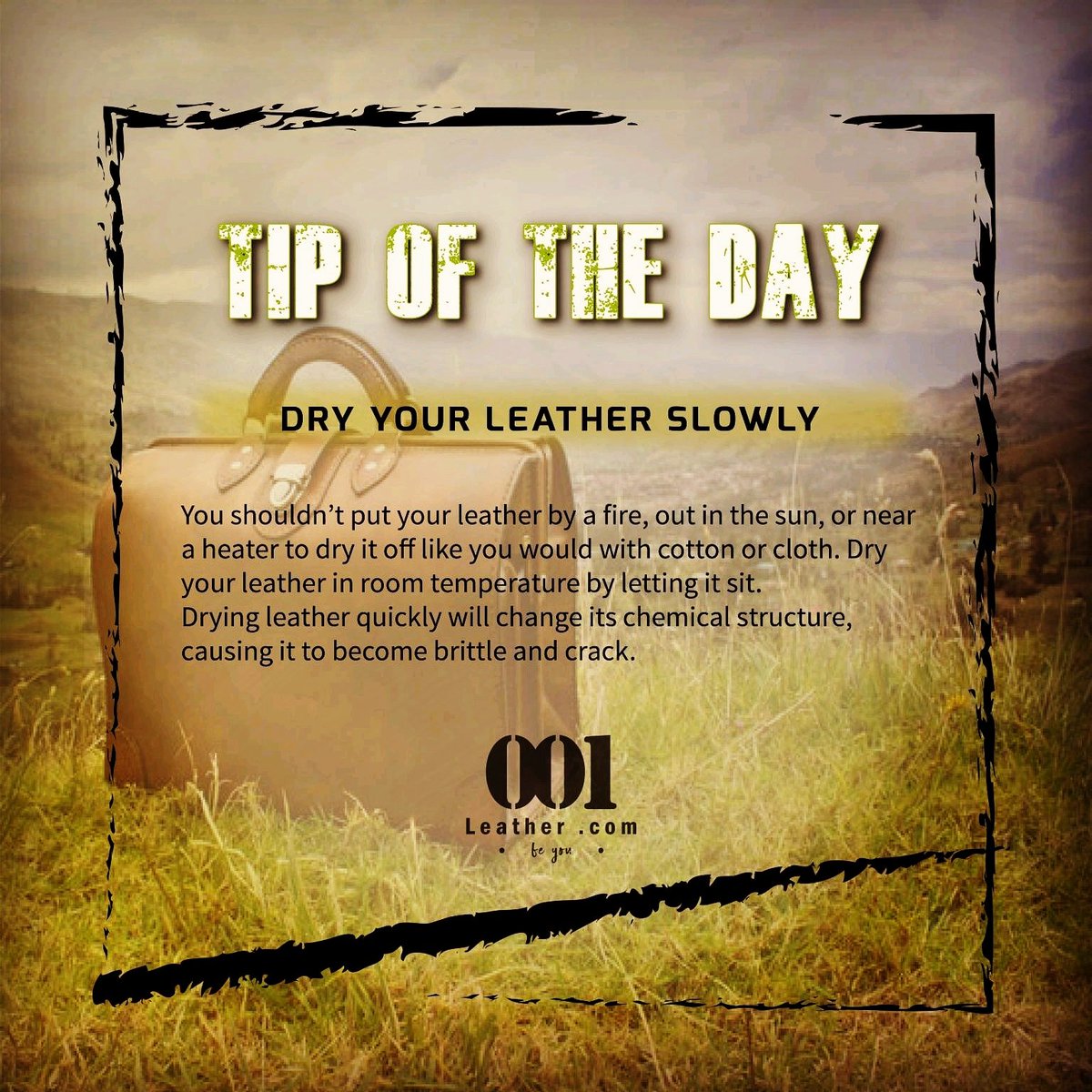 001leather's tweet image. #TipOfTheDay #LeatherTips
#Monsoon2019 
#LeatherCare #ItsAllAbout #GenuineLeather #products 

#001leather
#comingsoon