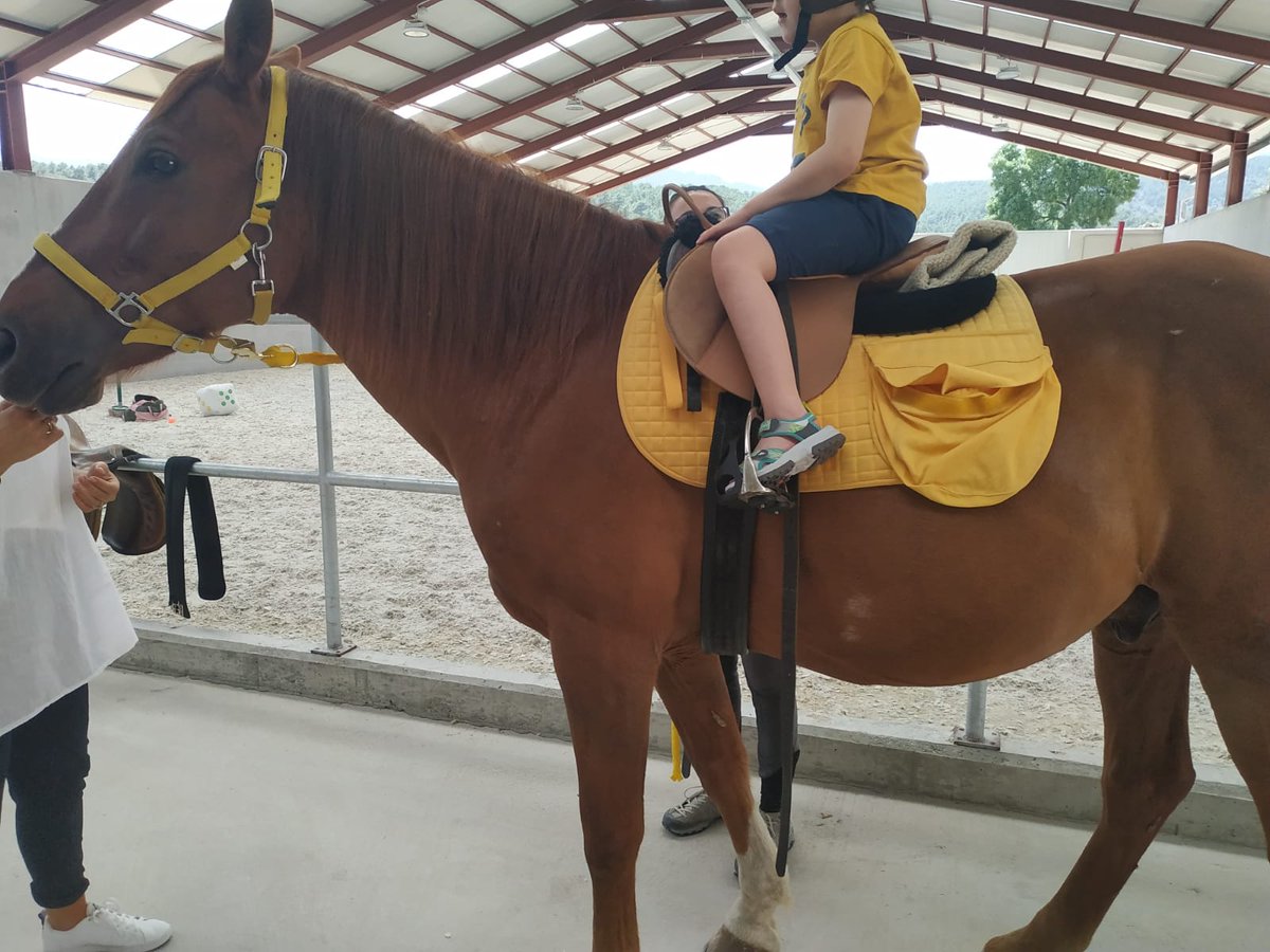 FPDEcuestre's tweet image. #Collaborations2019. @FPDEcuestre &amp;amp; Fundación MHG sign an agreement for the donation of riding equipment bound for, among other activities: 
- #EquineAssistedInterventions for people with disabilities
- Inclusive Equestrian Camp
- Weekly therapy sessions for @GrupoAMAS members