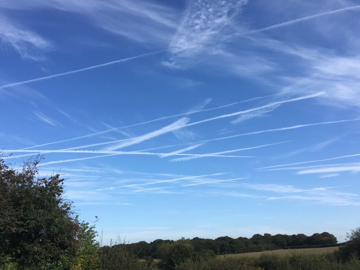 JoeWStanley's tweet image. One more cow belch and we’re at tipping point I reckon.