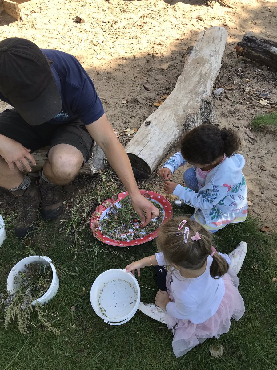 snapweston's tweet image. Parrots have had a great time this morning collecting seeds at Vegmead and will be using them to improve our own garden @vegmead @wildwalcot #snapforest