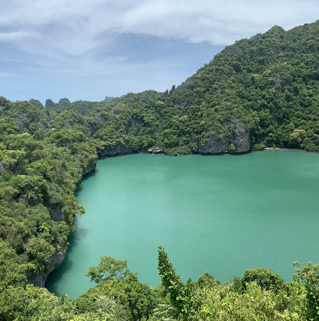 FajerH12's tweet photo. Koh Samui https://t.co/7VYS7sa02z https://t.co/huWrUrDesf