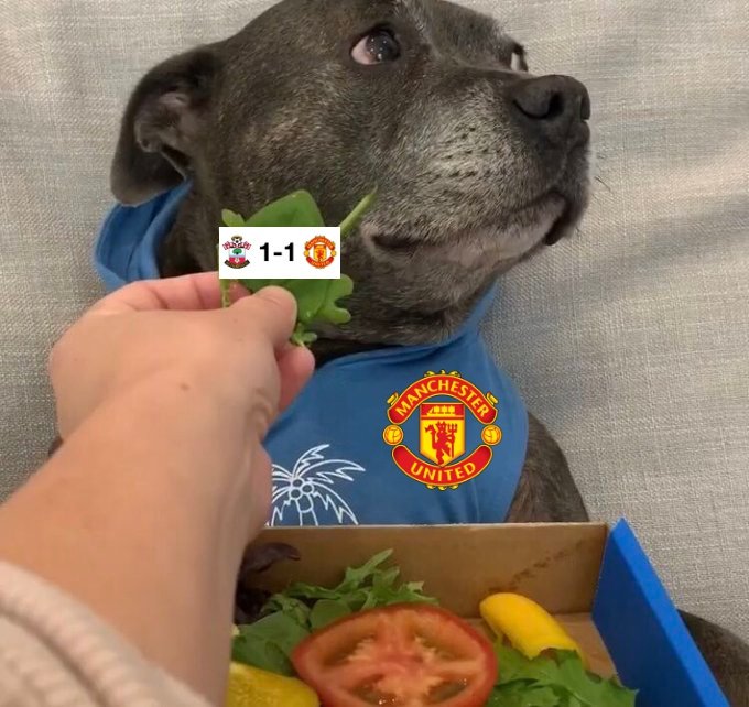 Man Utd fans this season
