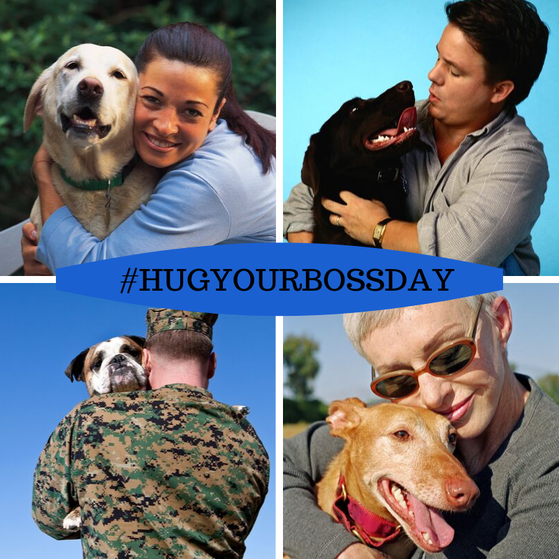 Adogsdreamnc's tweet photo. Forget all the Friday the 13th superstition stuff.  
We have more important things to celebrate! 
It is #HUGYOURBOSSDAY!!  Go get your furry pal who we know is the real boss in your house and give them a big hug! 
#dogs #dogdaycare #newbern #grooming #welovedogs https://t.co/OS7YO8yRWq
