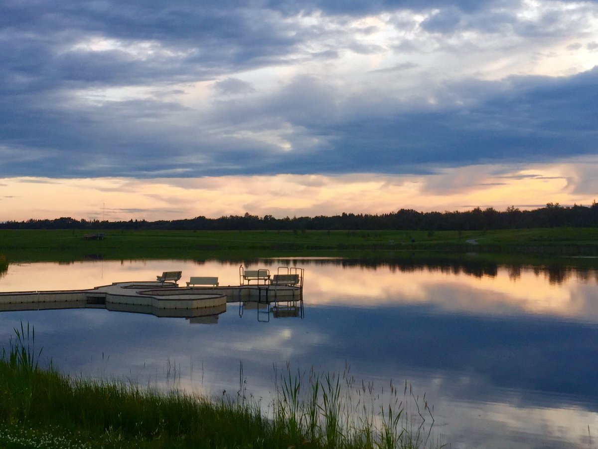 FortSaskLions tweet media