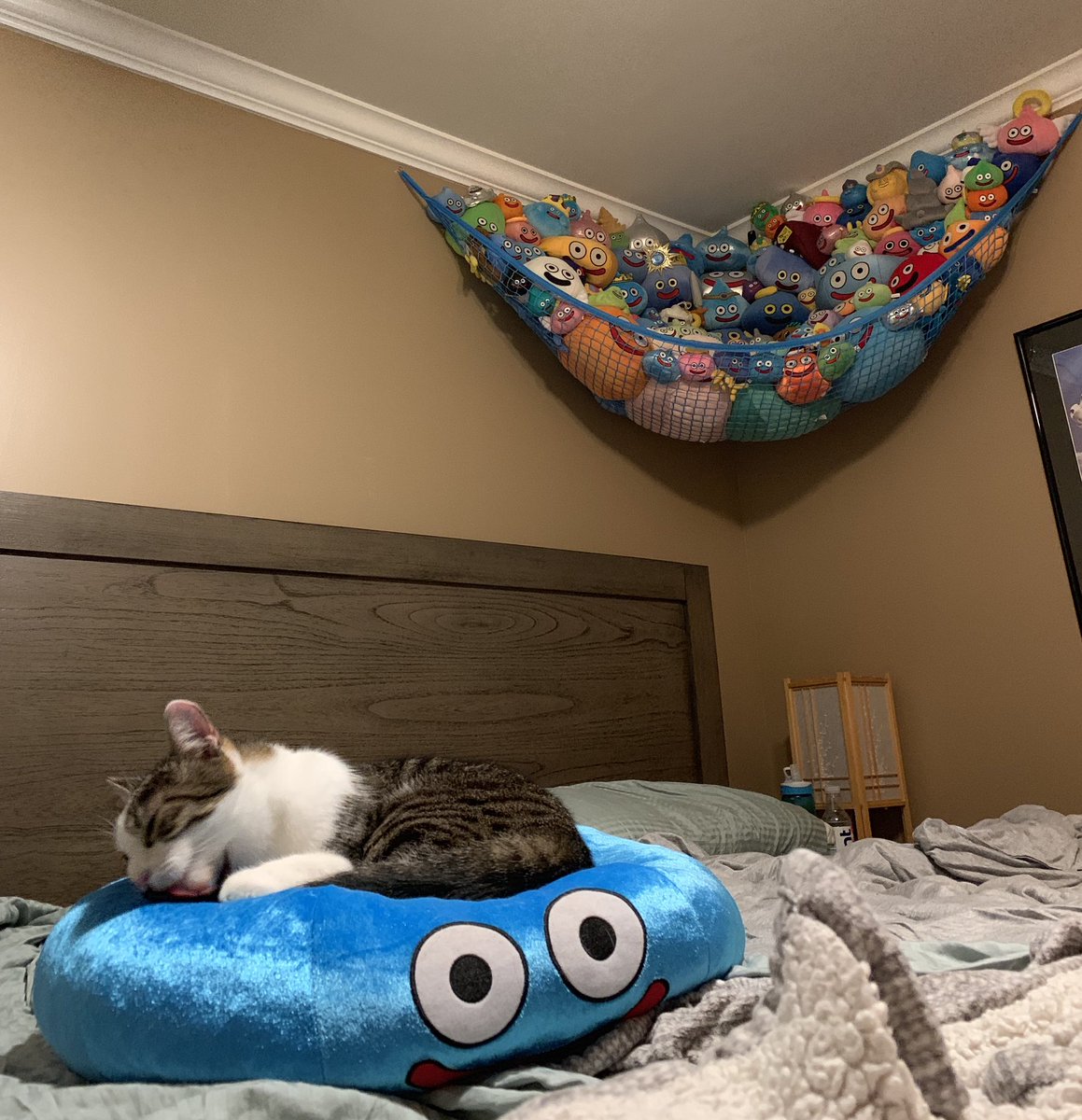 Samantha Laabs Ar Twitter I Put Up A New Slime Hammock At My New