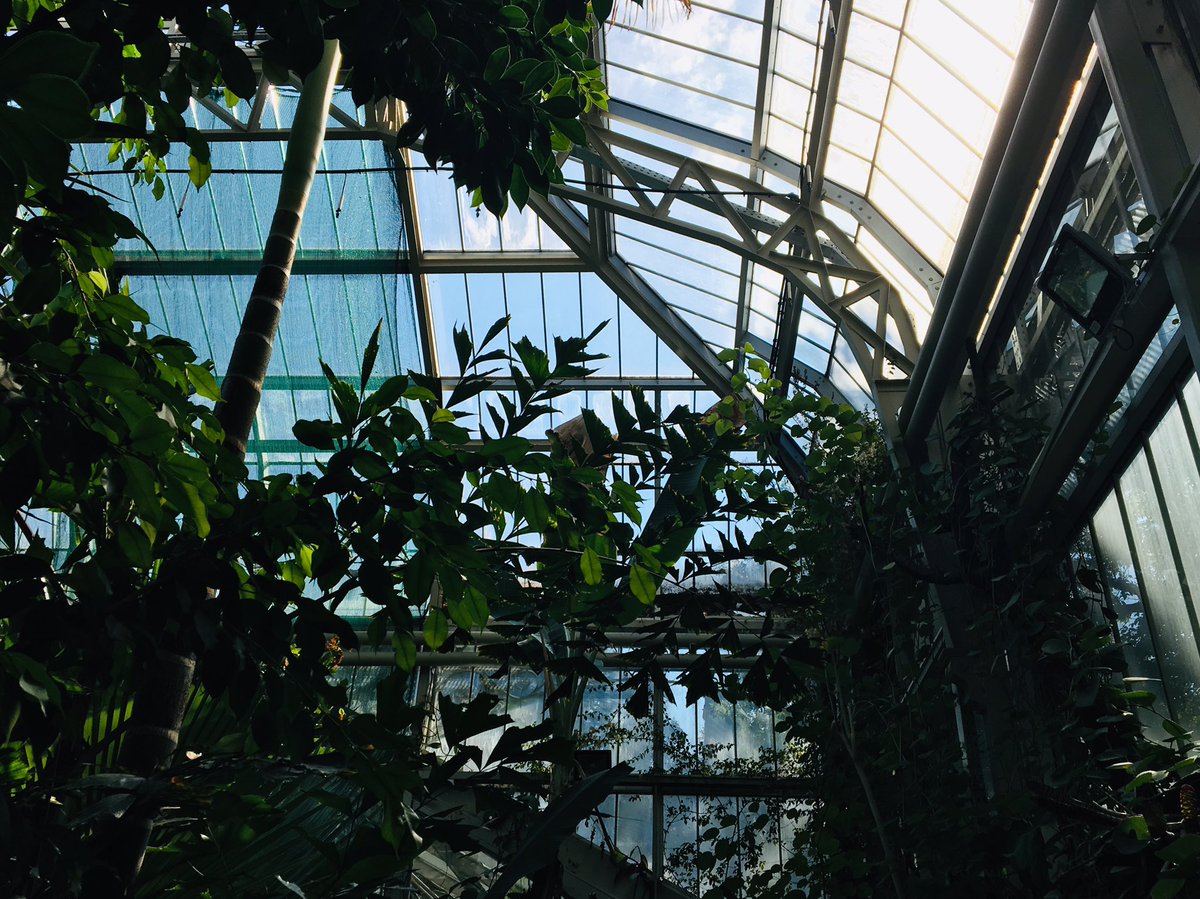 SianCMacLeod's tweet photo. Čestitam Vam! Congratulations to the Jevremovac botanical garden #Belgrade on your 130th anniversary. Thank you for inviting me to celebrate with you, along with visitors from #KewGardens #howtobeadiplomat https://t.co/3KcTpAdC2C