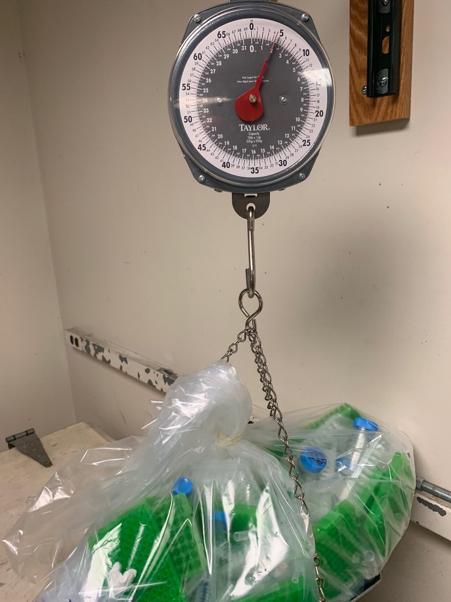 Ivan Belashov (@ibioshov) on Twitter photo This is how much plastic (at a bare minimum) our lab has produced on an average week. This makes >230 pounds a year. Sad that so much plastic is dumped into trash. <a href="/HainerLab/">Sarah Hainer</a> This is how much plastic (at a bare minimum) our lab has produced on an average week. This makes >230 pounds a year. Sad that so much plastic is dumped into trash. <a href="/HainerLab/">Sarah Hainer</a>