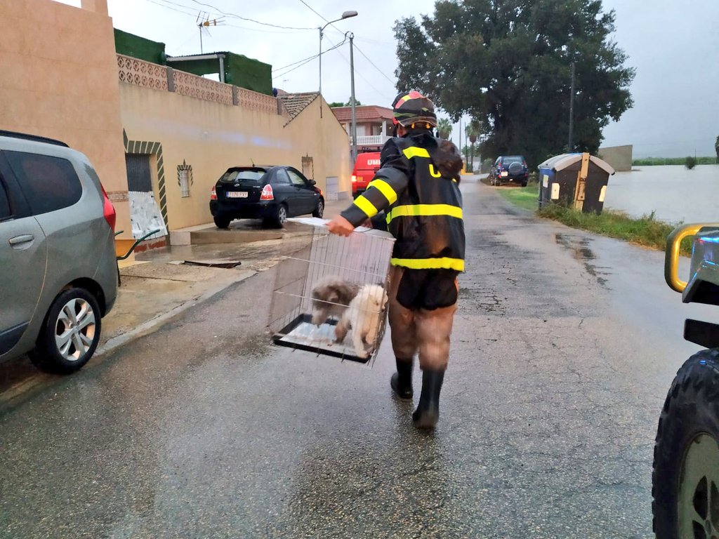 Nuestra prioridad y la de todos los servicios de emergencias🚨 , es llegar hasta la última de las personas aisladas, para llevarlas a un lugar seguro
#DANAseptiembre