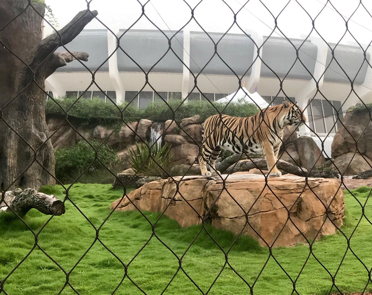 In honor of my birthday, here’s a “Before” pic of me at 11 months old and 179 lbs. and an “After” pic of me at 3 years old and 410 lbs. So much for that “Freshman 15.”