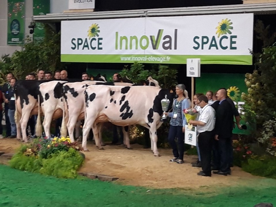 #partenariat <a href="/CA_Bretagne/">Crédit Agricole en Bretagne</a> : ce matin, remise du prix Prim'Holstein par Patricia Pinsard, 2ème Vice-présidente de la Caisse régionale du <a href="/CAIlleEtVilaine/">Crédit Agricole d'Ille-et-Vilaine</a>. 
#agriculture #SPACE2019 #partenariat 
 <a href="/SPACERennes/">SPACE</a>