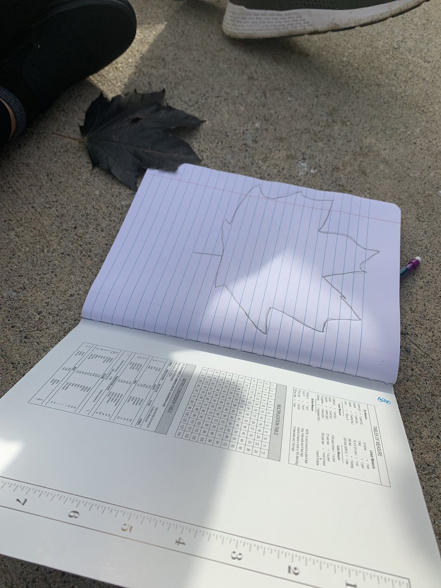 BBMadScience's tweet photo. Learning about nature journaling today. What kind of tree is this? https://t.co/5Xj6rarbmp