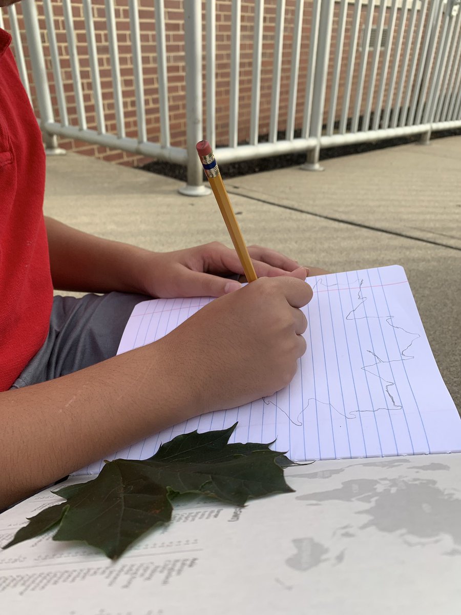 BBMadScience's tweet photo. Learning about nature journaling today. What kind of tree is this? https://t.co/5Xj6rarbmp
