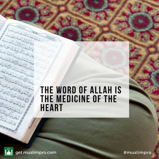 Haqshaheb6's tweet photo. 💚 Daily Inspiration from #muslimpro
https://t.co/kzvamgrhww https://t.co/b9OeM0cc6Z