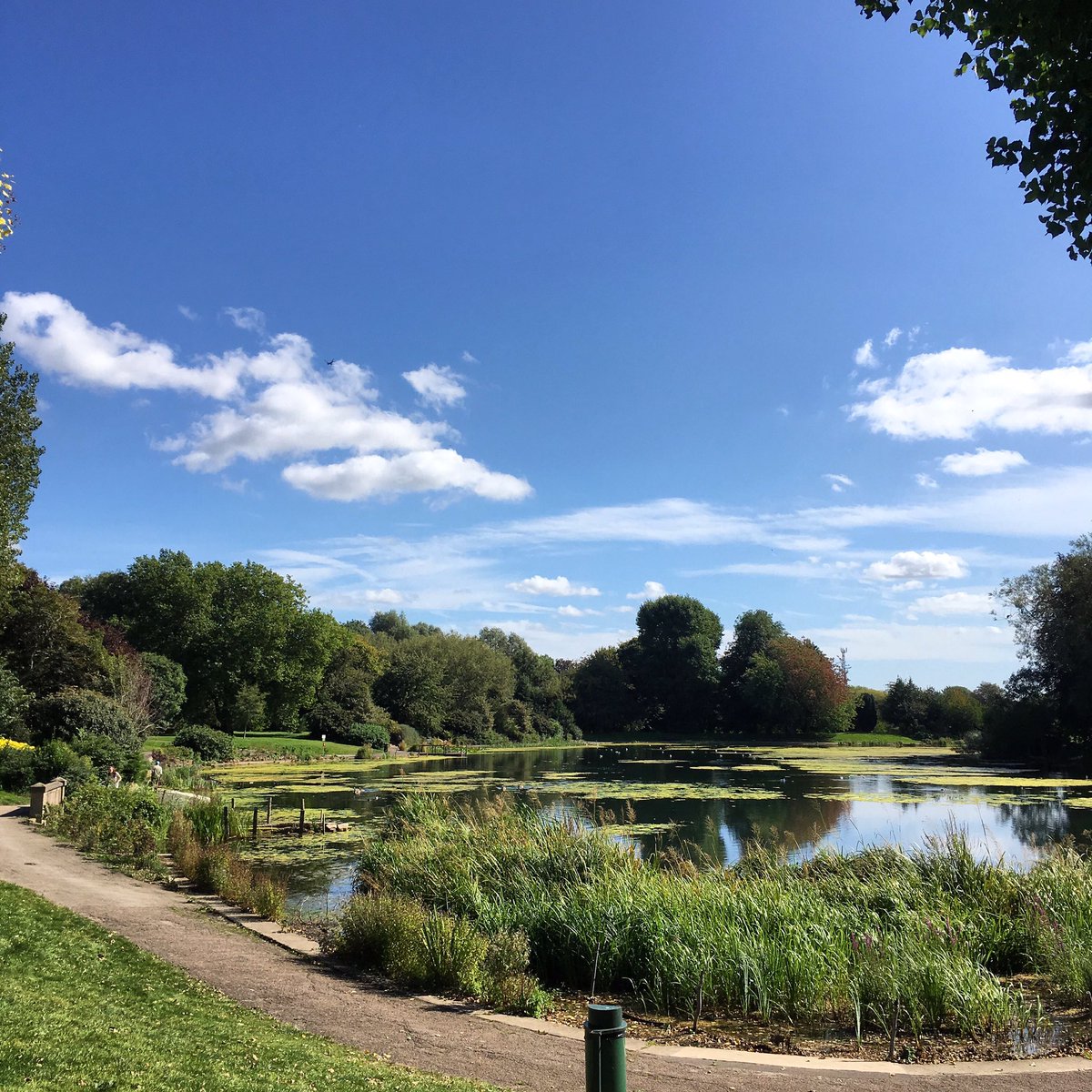 Lunchtime walk, making the most of the autumn sunshine while it lasts! #derbados #lunchtimewalk #timeout