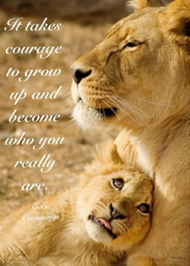 Durango96380362's tweet image. Awe , I'm so sorry,  but glad to assist in encouragement! I love talking to people,  I love people! Love meeting new people too! Always here for you Zach ! Never Alone !