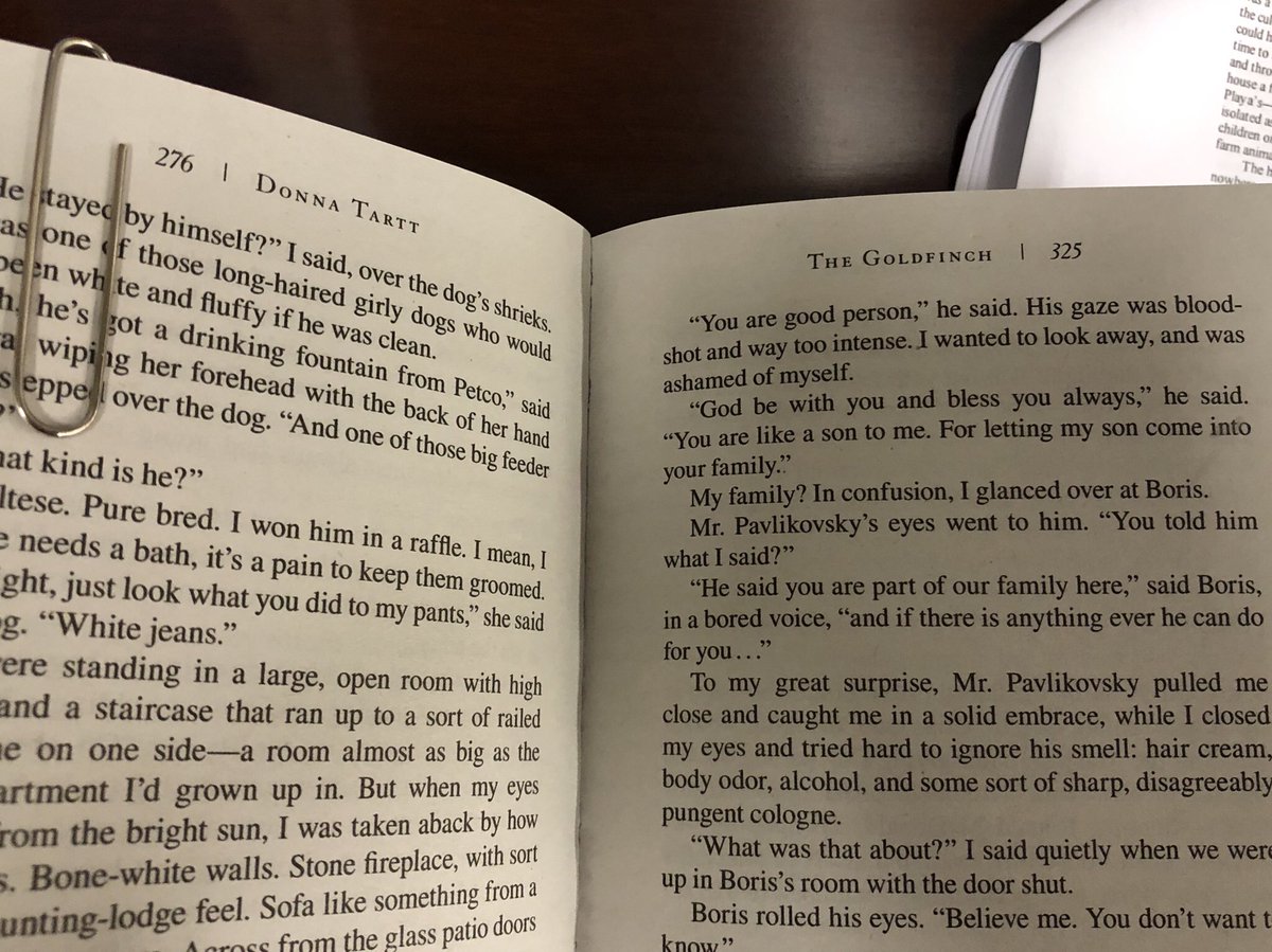 MarleneMarkoeBo's tweet photo. Uh oh. What next? #TheGoldfinch @DonnaTartt https://t.co/DdStvRU5RW