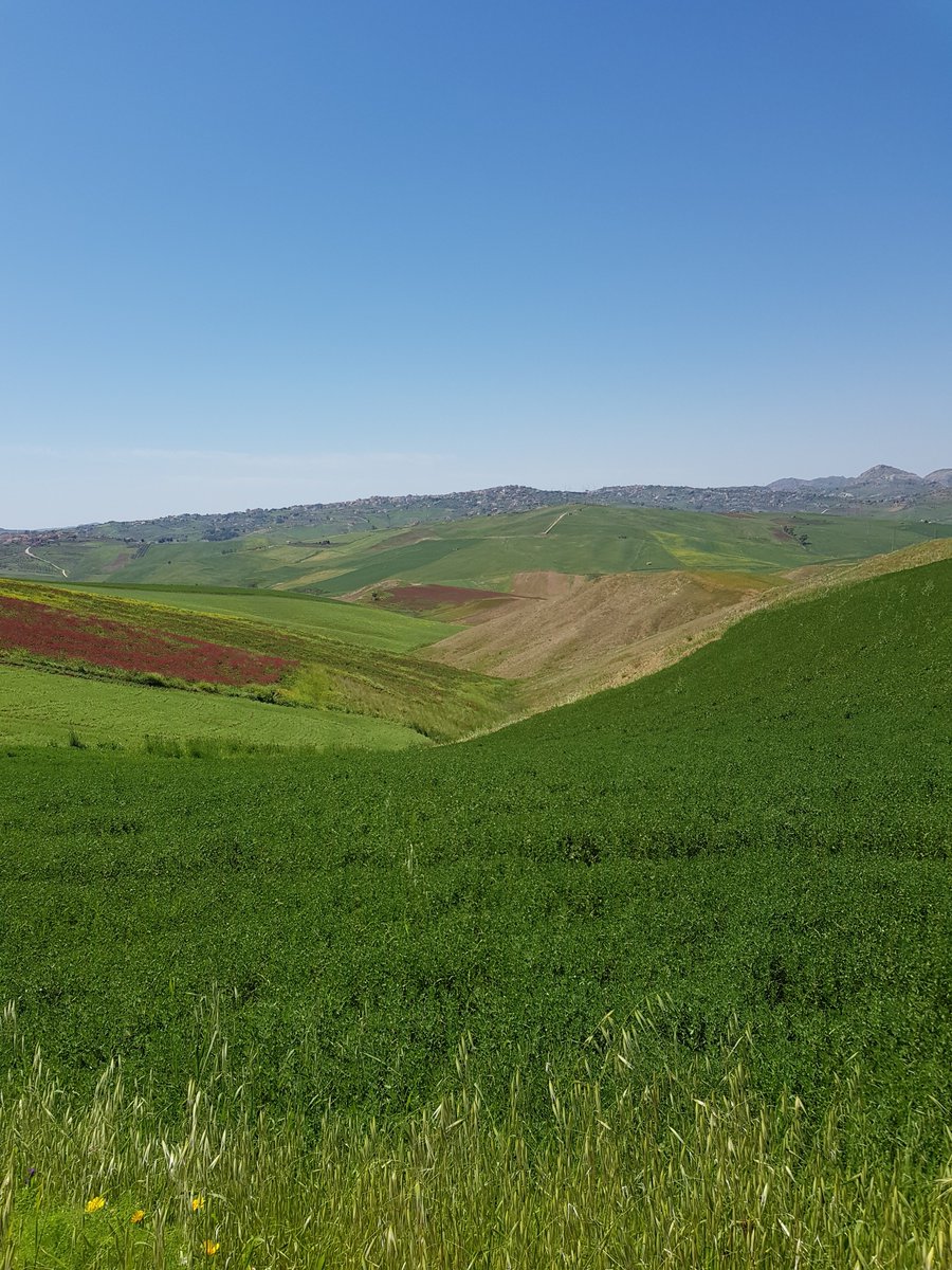 FedesMood's tweet photo. Magna Via Francigena (Sicilia)__Cammino da Palermo ad Agrigento 🎒 (apr 2018)
-Percorso da Grotte a Agrigento

#magnaviafrancigena #sicilia #camminoinsicilia #pilgrimage #backpacking #hiking #adventure #nature #landscape https://t.co/D5xRnGDw5W
