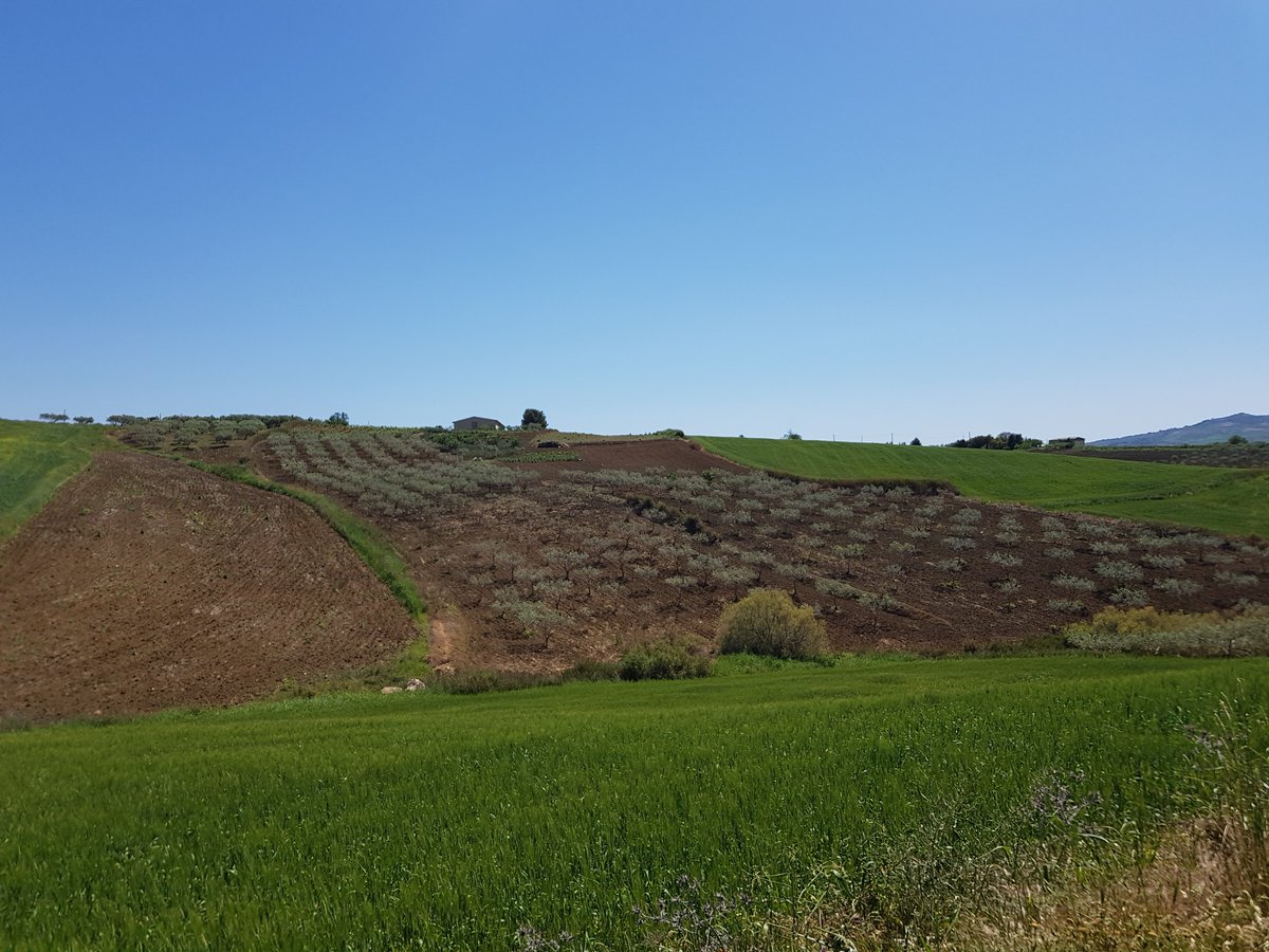 FedesMood's tweet photo. Magna Via Francigena (Sicilia)__Cammino da Palermo ad Agrigento 🎒 (apr 2018)
-Percorso da Grotte a Agrigento

#magnaviafrancigena #sicilia #camminoinsicilia #pilgrimage #backpacking #hiking #adventure #nature #landscape https://t.co/D5xRnGDw5W