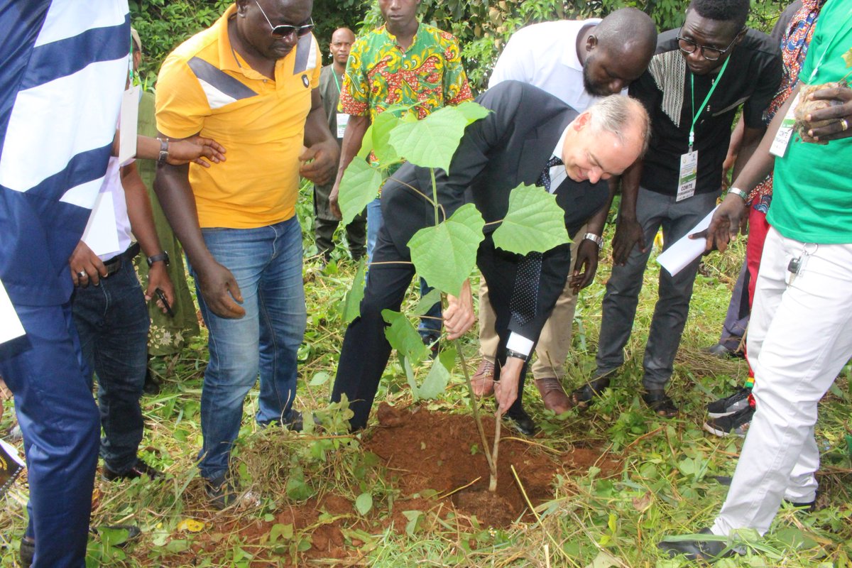 david_mcilroy's tweet photo. Avec le slogan " 1Guinéen= 1 Arbre, je participe à la Campagne de reboisement pour lutter contre le réchauffement climatique sur initiave de l'ONG #CIPAD Guinée. Ce vendredi j'ai eu l'honneur de planter un arbre près du lac de Sonfonia-Conakry. https://t.co/pKtdsQpmCj