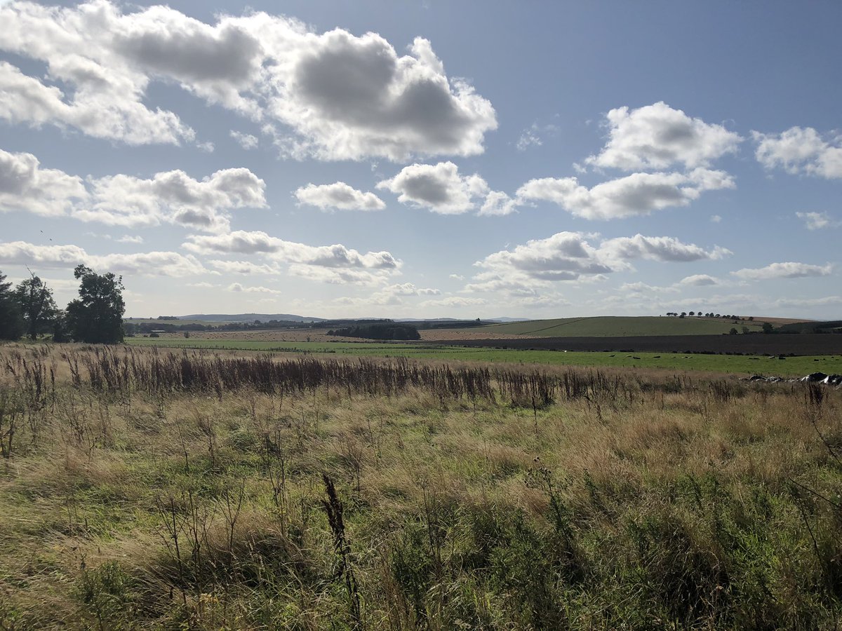 Wonderful day for harvesting malting barley in Aberdeenshire