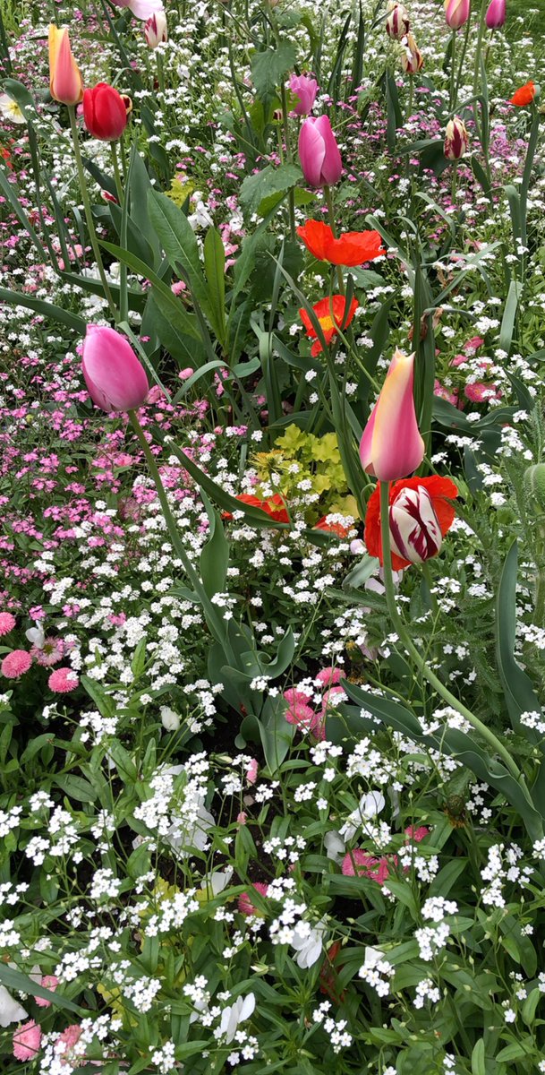 hanaj111's tweet photo. ❤️❤️💐🌺🌼 #Flowers https://t.co/V0Byux9kRC
