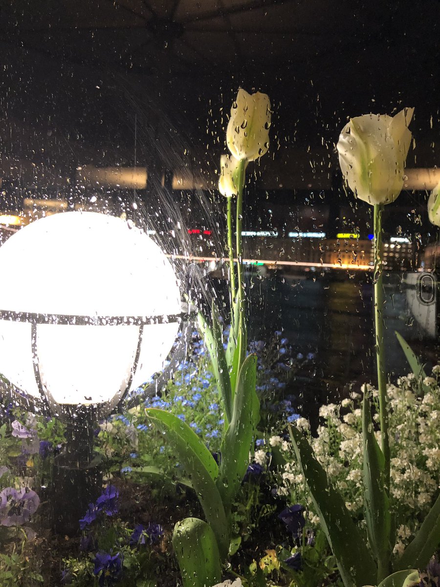 hanaj111's tweet photo. ❤️❤️💐🌺🌼 #Flowers https://t.co/V0Byux9kRC