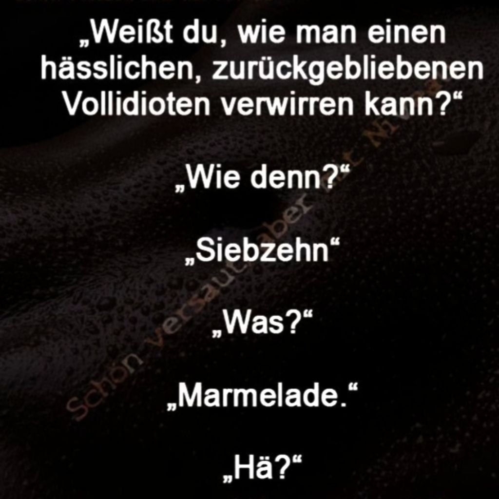 Täglich neue lustige Bilder &amp; Videos - App für Android und iPhone: mega.lol