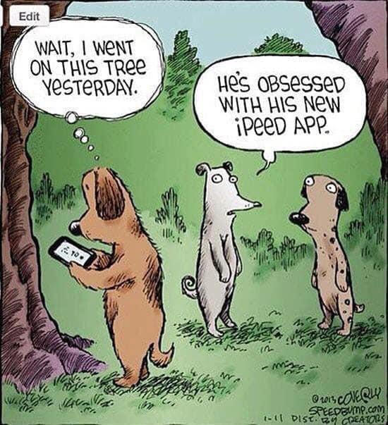 northelmanimal's tweet photo. Happy Friday Y'all! A little dog humor to kick off the weekend! https://t.co/yeg0EtSpsc