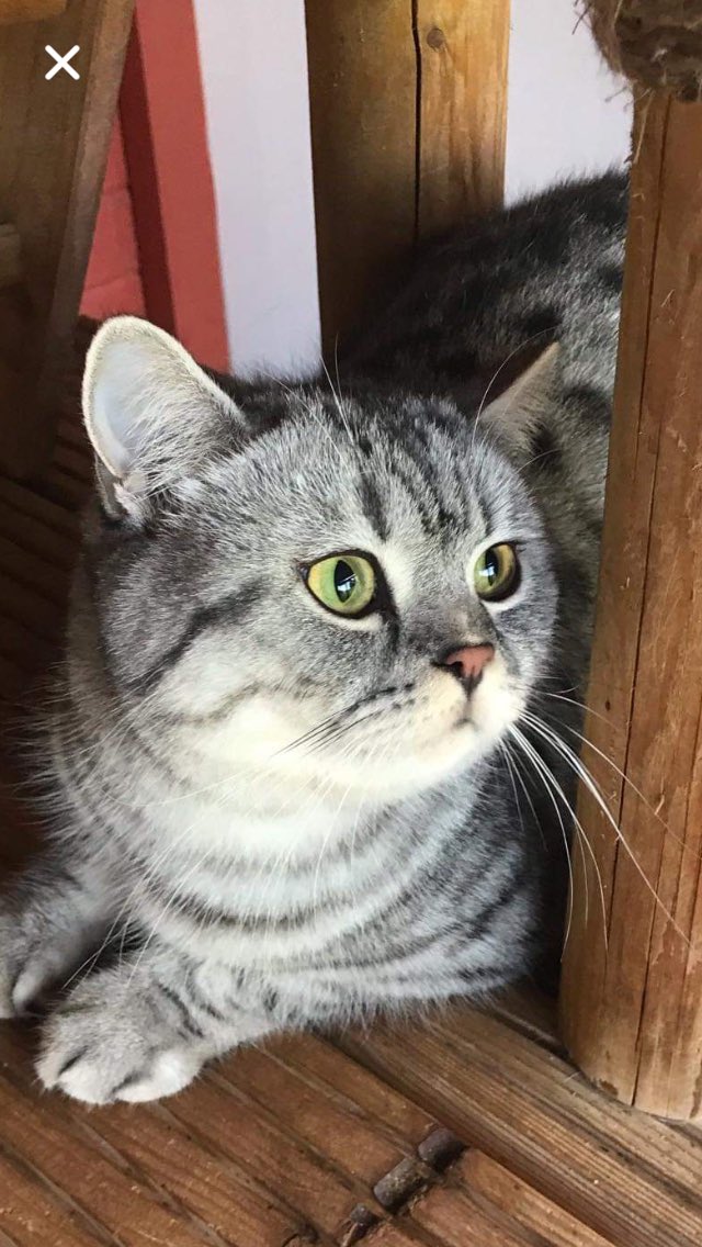 Tower Top Ents tweet media