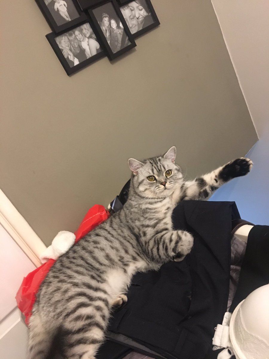 Tower Top Ents tweet media