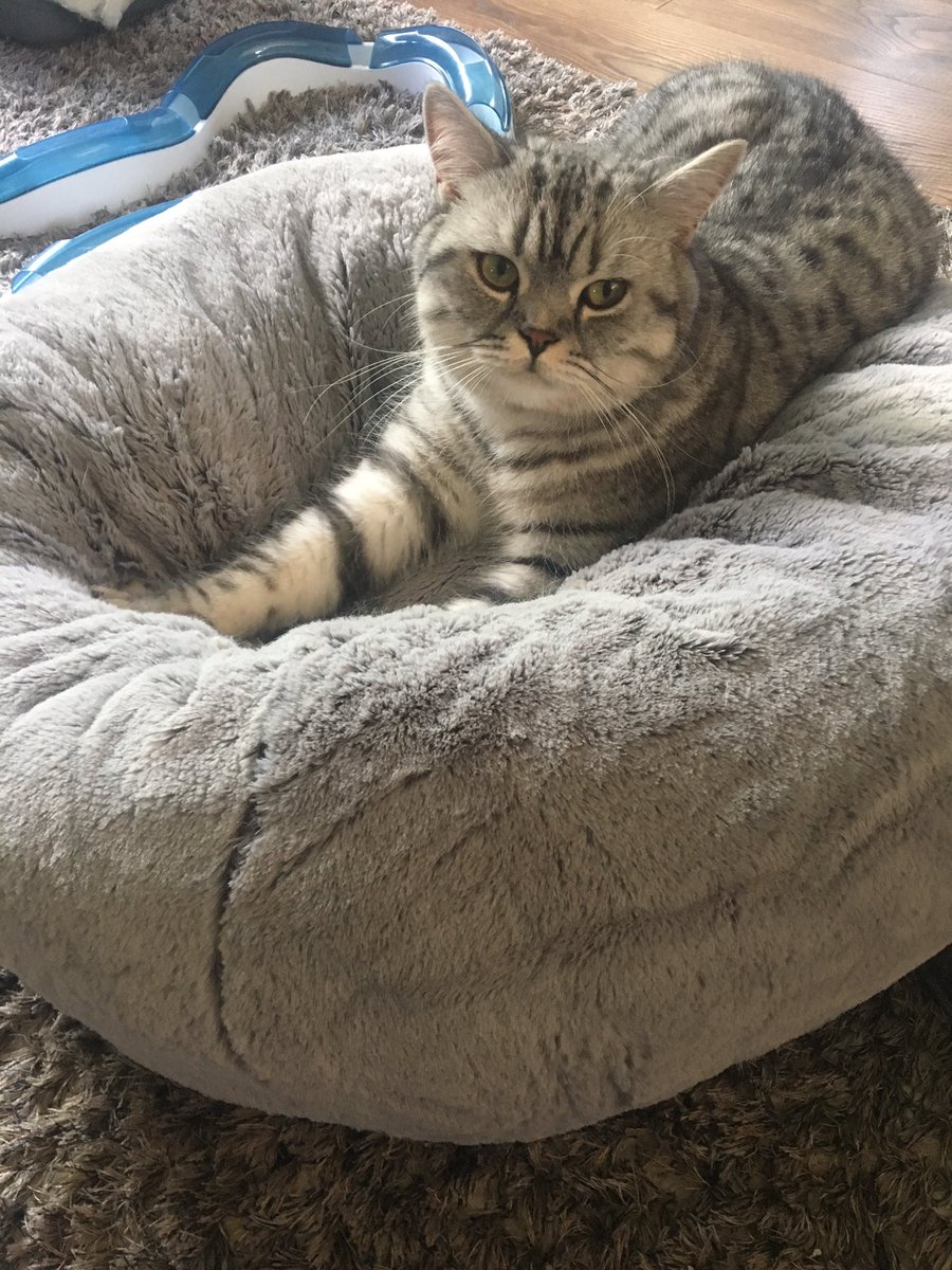 Tower Top Ents tweet media