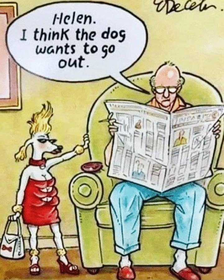 dansdogdaycare's tweet photo. Happy Friday Every Pooch!!!.. 🤣💋🐶🐾💕
#letthedogout #wholetthedogsout #dog #dogs #outout #friyay #joke
#nightout #fridaynight #friday #fridayfunny #fridaymood #funny #funnydogs #dogart #cartoon #petlovers #pets #pet #dogs #doglovers #dansdogdaycare https://t.co/lxMK3iXoZI