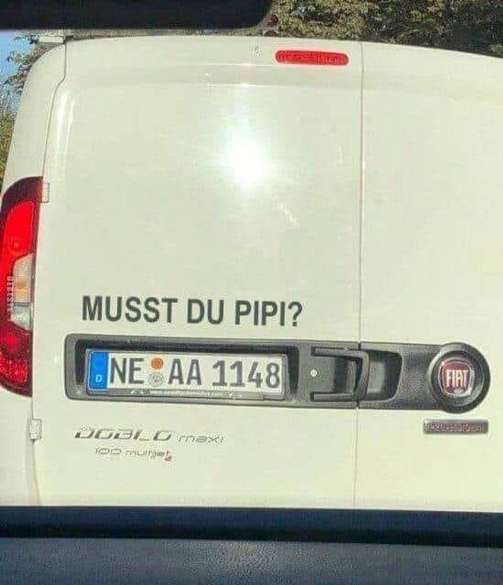 Täglich neue lustige Bilder &amp; Videos - App für Android und iPhone: mega.lol