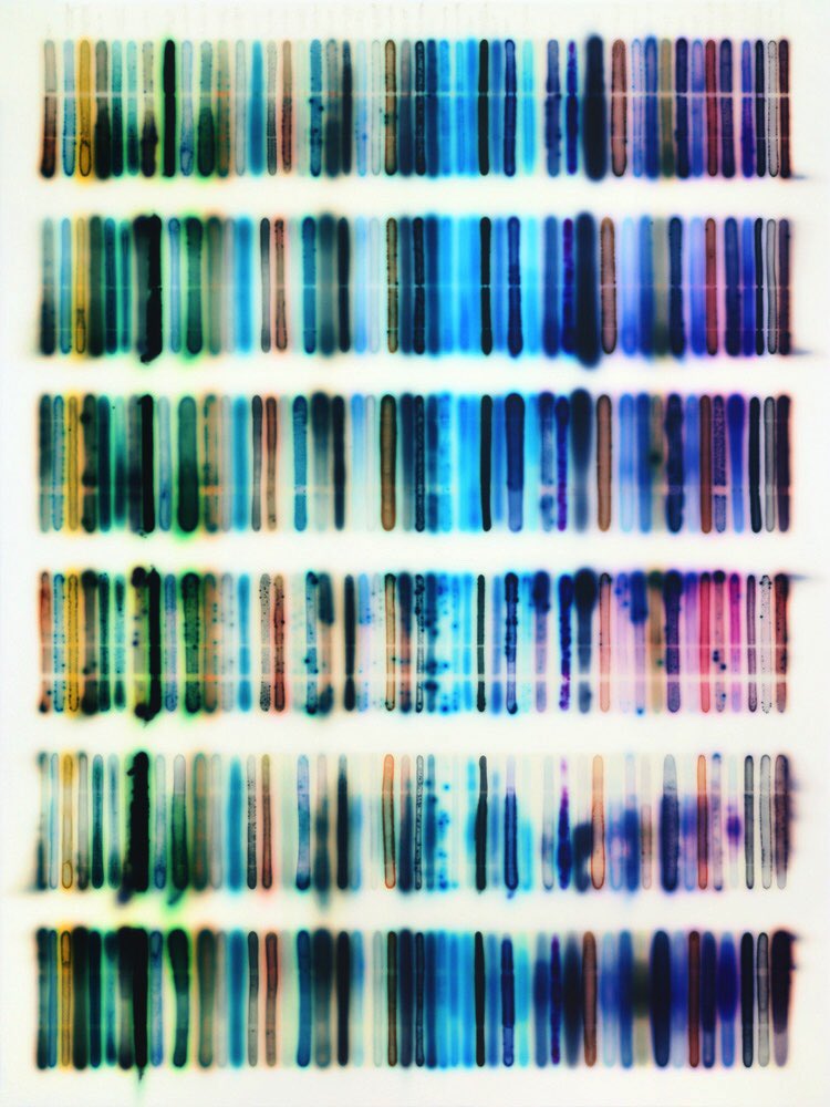 Andrew (@andrewabbq) on Twitter photo 