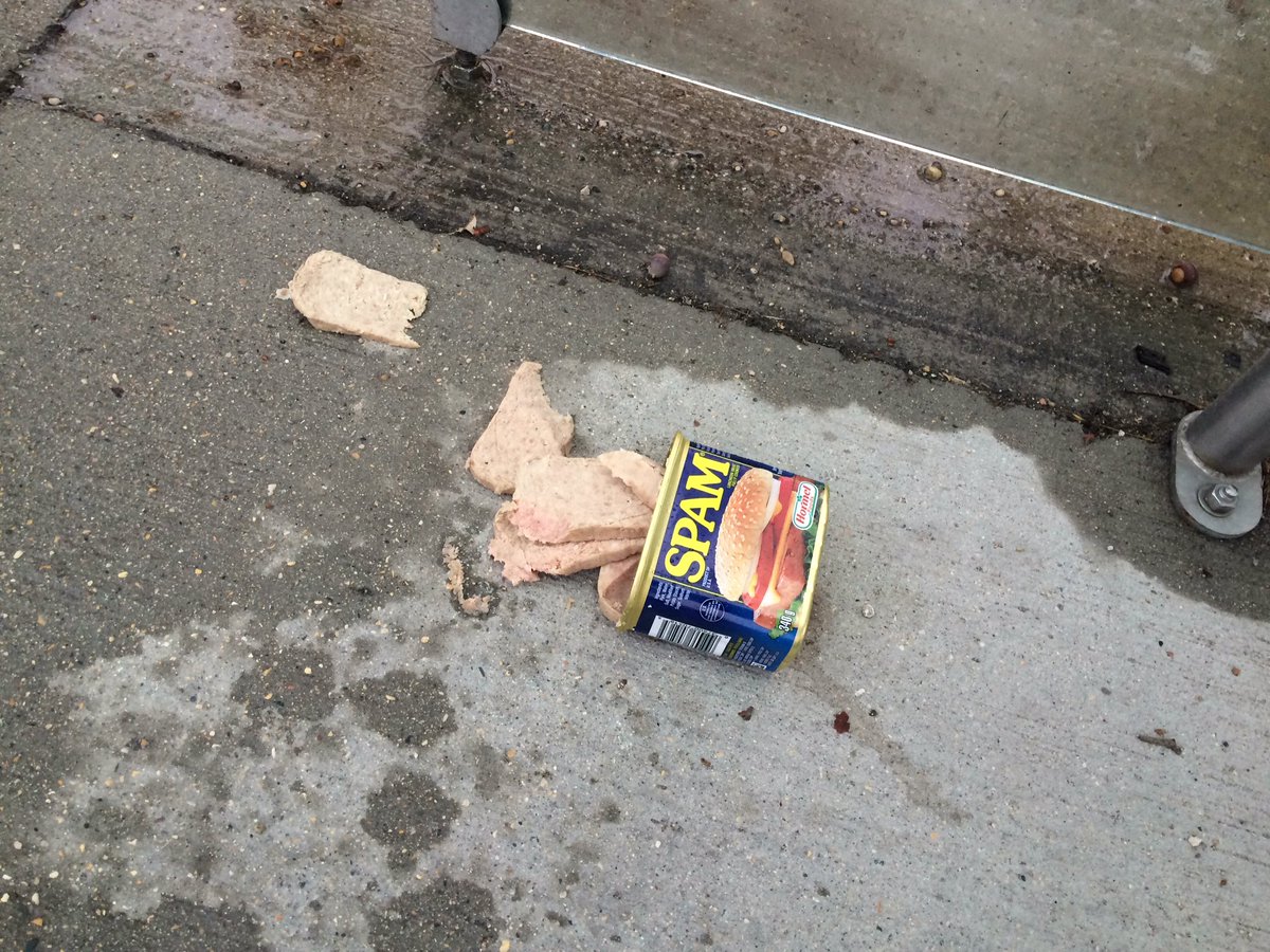 SavannahRKelly's tweet photo. Free @SPAMbrand at my bus stop this morning. First come, first served! https://t.co/PxzHCkyPHA