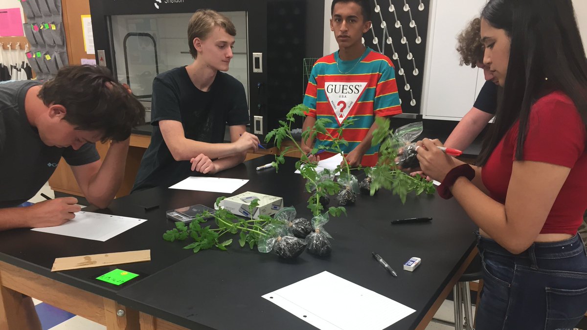 Leander HS AP tweet media