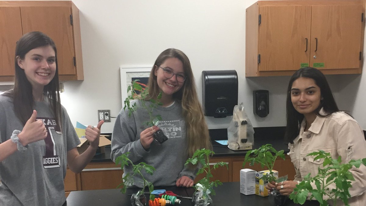 Leander HS AP tweet media