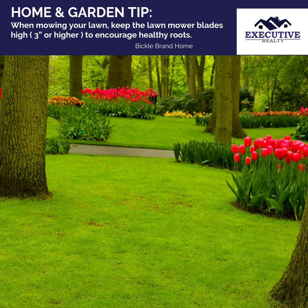 ExecutiveMn's tweet photo. Maintain your lawn neat and healthy! :) 

#RealEstate #Home #Realty #ForSale #NewHome #Property #DreamHome #Investment #Tips #Minneapolis #executiverealtymn #Minnesota #MinnesotaRealEstate #HomeSale #HomeTips https://t.co/0lVUM3w4G2