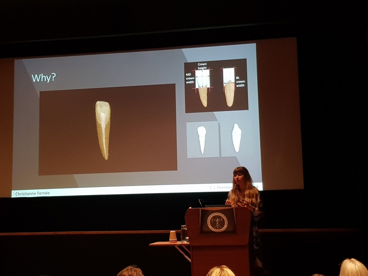 Now <a href="/ChristianneF_/">Christianne</a> of <a href="/sotonarch/">Archaeology | Southampton</a>  is integrating multiple methods, existing isotopes and micro-CT measurements across time periods in England #BABAO2019