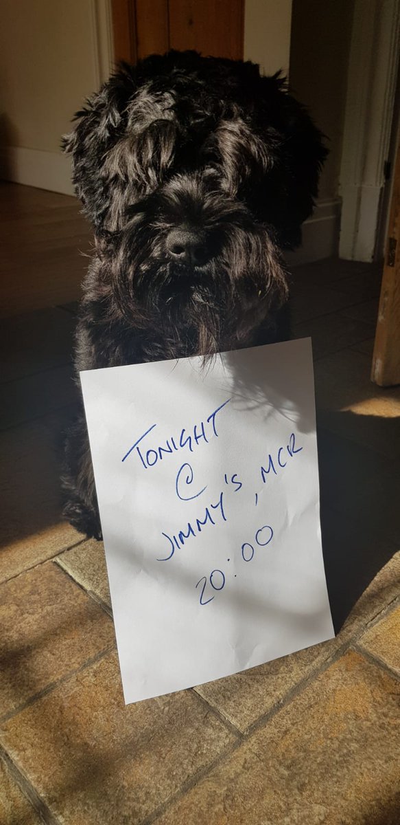 Dusting off the summer....... late announcement, back at Jimmy's tonight. Love RLE

#rle #salfordmusic #manchestermusic #livemusic #jimmys #loki #schnauzer