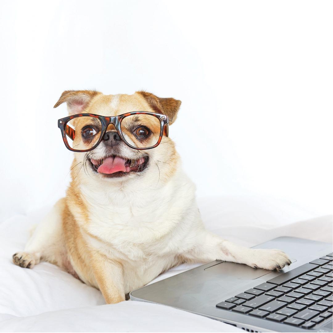 You deserve a vitamin that works smarter, not harder. Join the #PodSquad and feel the difference! ⚙️💪#vitamins #GetTespo