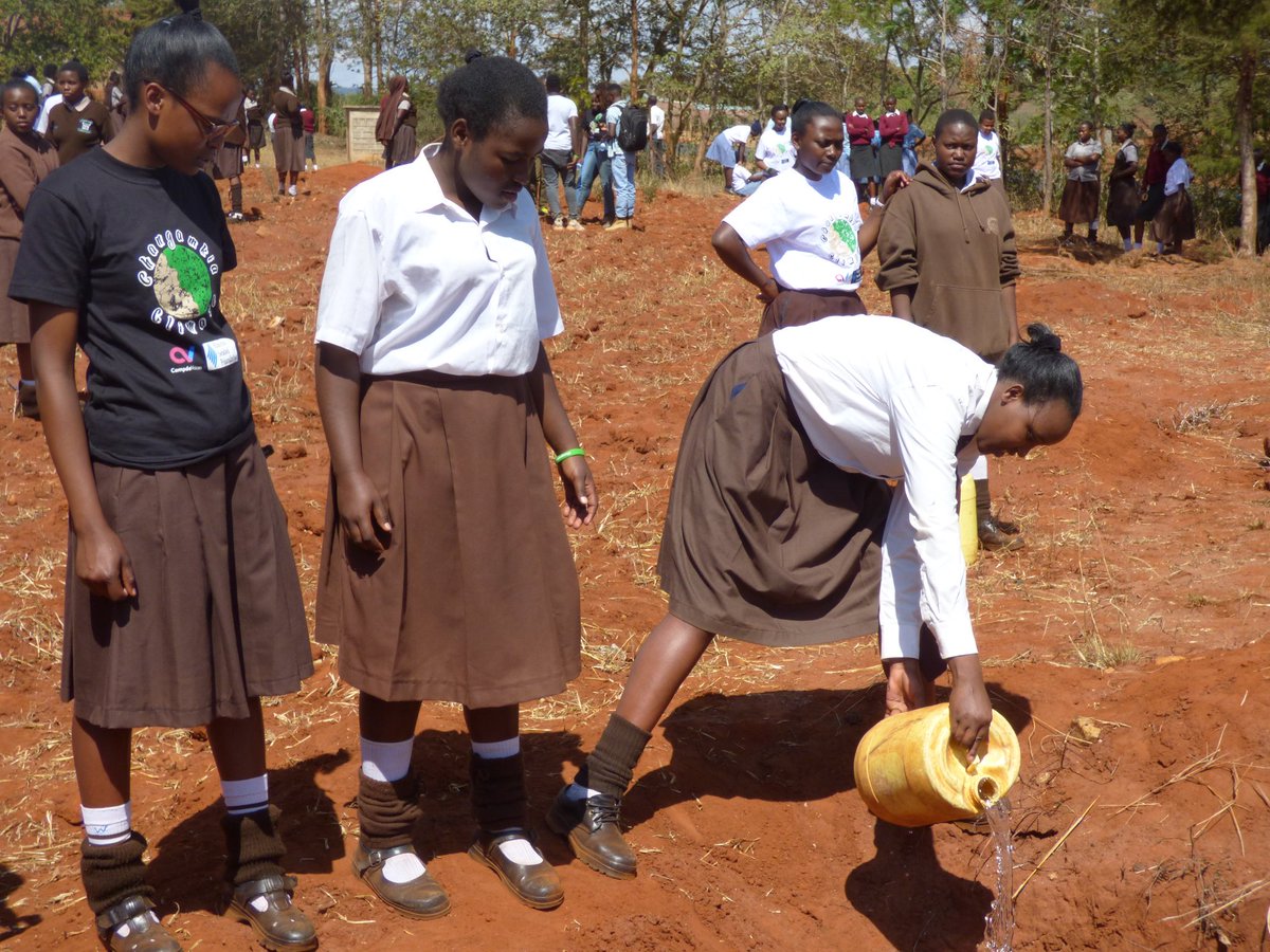 omondilised_'s tweet photo. Trees give peace to the souls of men #ChangamkiaClimate @youngdebaters @alexoburu_1 https://t.co/je88W1bBGL