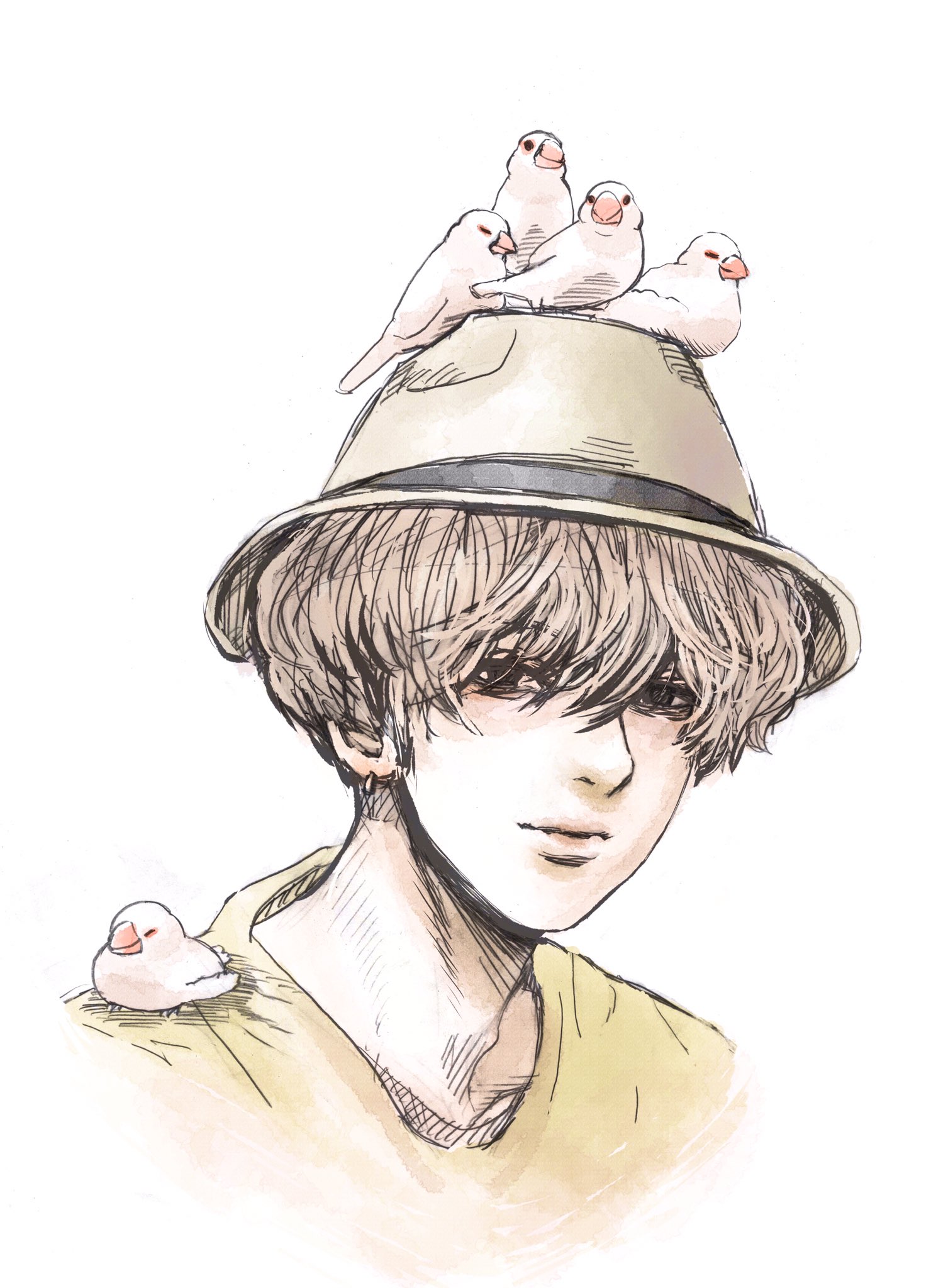 玉木ヴァネッサ千尋 こんばんは 文鳥です 玉木ヴァネッサ千尋 こんばんは 文鳥です