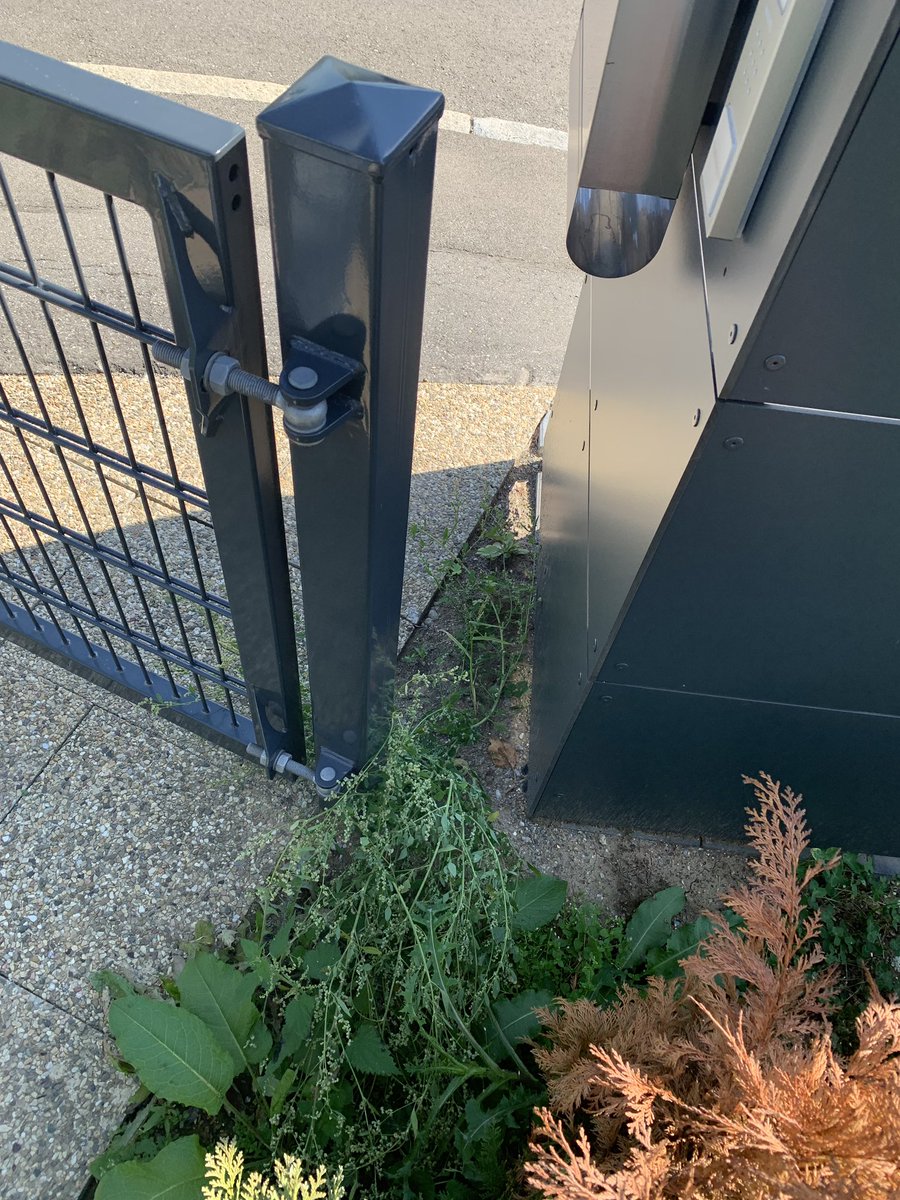 Hallo <a href="/DHLPaket/">DHL Paket</a>, wenn eure Kollegen sich da durchzwängen und die Pflanzen niedertrampeln, nur um zwei Pakete vor die Haustür stellen zu können und sie nicht wieder mitnehmen zu müssen, dann ist das Sachbeschädigung und Hausfriedensbruch!