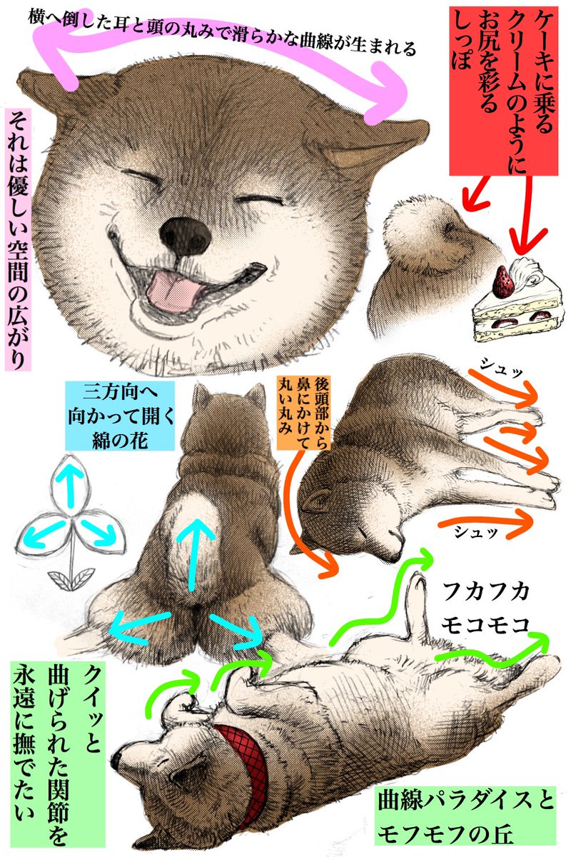 Twoucan にほんけん の注目ツイート イラスト マンガ コスプレ モデル Twoucan にほんけん の注目ツイート イラスト マンガ コスプレ モデル